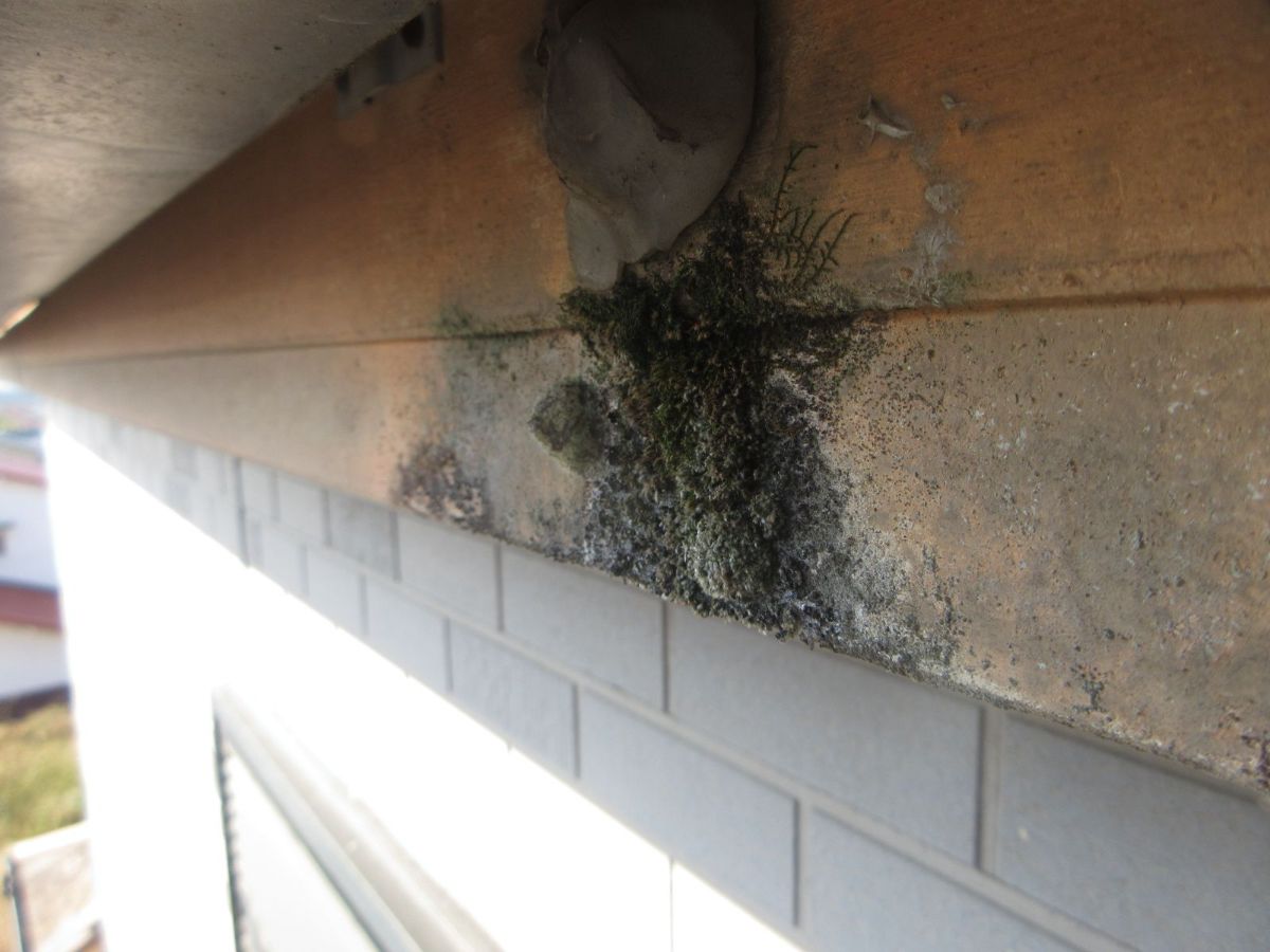 【和歌山市】D様邸<br>『グレーの外壁にダークグレーの屋根が、重厚感溢れる素敵な仕上がりに…✧₊°』ウルトラTOP、インテグラルコート塗布15